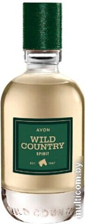 Туалетная вода Avon Wild Country Spirit EdT (75 мл)