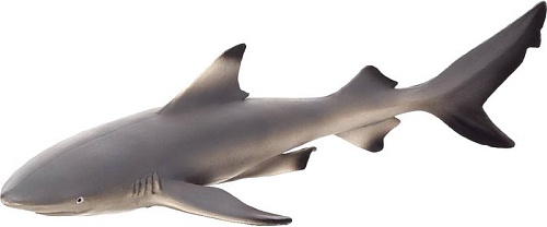 Фигурка Konik Черноперая рифовая акула AMS3026