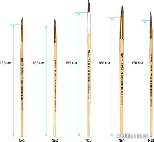 Набор кистей ArtSpace белка № 1, 2, 3, 4, 5 SB1-5_2388 (5 шт)