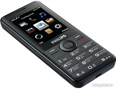Мобильный телефон Philips Xenium E168 (черный)