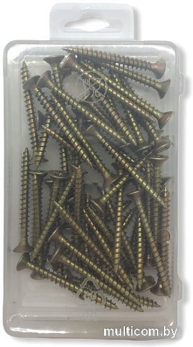 Шуруп ЕКТ B009170 (50 шт)