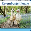 Пазл Ravensburger Ламы 12941 (100 эл)