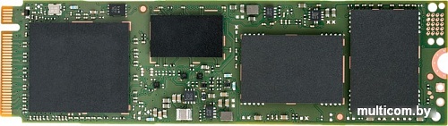 SSD Intel DC P3100 250GB [SSDPEKKA256G701]