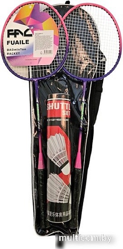 Теннис/бадминтон Ausini F288