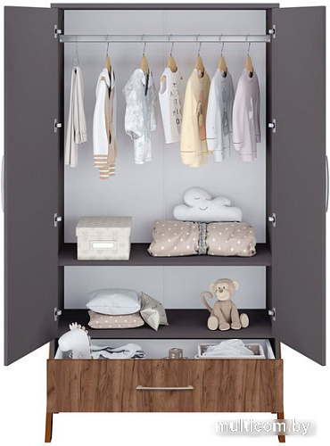 Шкаф распашной Polini Kids Porto 3100 0002573.164 (графит/дуб крафт)