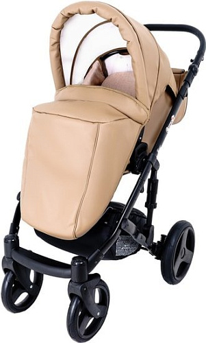 Универсальная коляска Ray Corsa Ecco (2 в 1, 22)