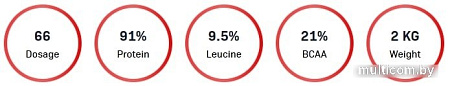 QNT Metapure Whey Protein Isolate (клубника/банан, 908 г)