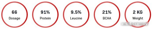 QNT Metapure Whey Protein Isolate (клубника/банан, 908 г)