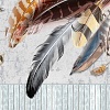 Фотообои Citydecor Перья с защитным покрытием 300x254