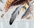 Фотообои Citydecor Перья с защитным покрытием 300x254
