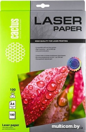 Фотобумага CACTUS Глянцевая A4 100 г/м2 100 листов