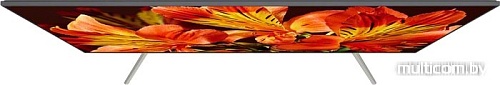 Телевизор Sony KD-49XF8596