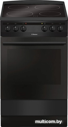 Кухонная плита Hansa FCCM58088