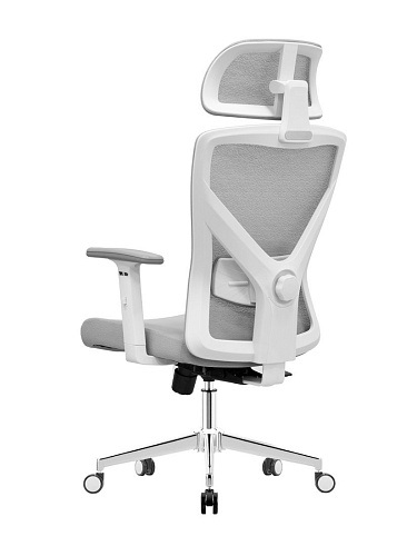 Офисное кресло Evolution ErgoLine 2 (серый)