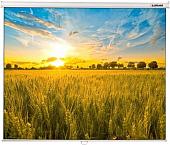 Проекционный экран Lumien Eco Picture 206x274 LEP-100115