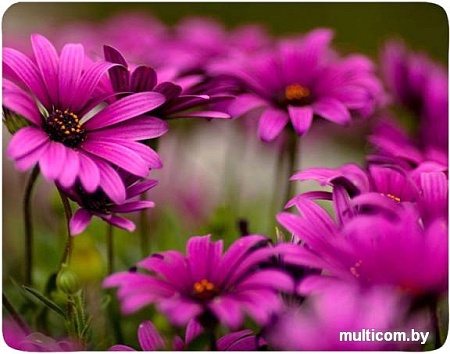 Коврик для мыши Buro BU-M20045