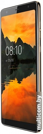 Смартфон BQ-Mobile BQ-6010G Practic (золотистый)