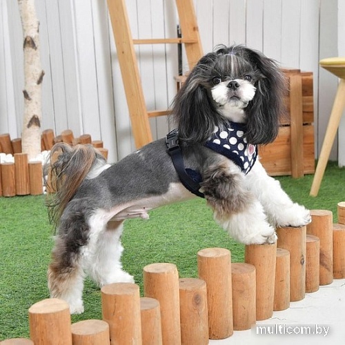 Шлейка Pinkaholic Joceline NARD-HA7363-NY-M (синий)