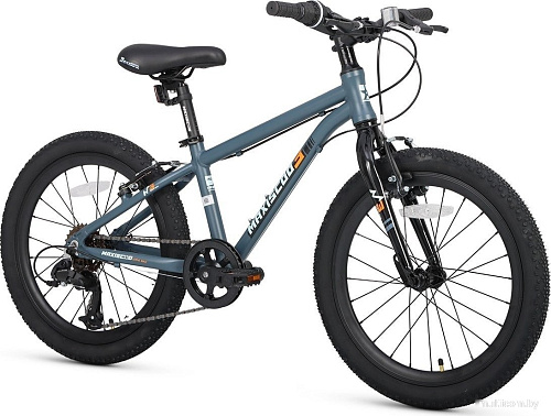 Детский велосипед Maxiscoo 3bike 20 M 2025 MSC-M3-2001 (серый матовый, разобранный)
