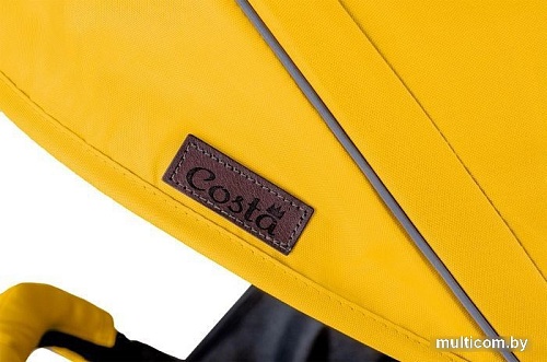 Коляска прогулочная «книга» Costa Tracy (лайм)