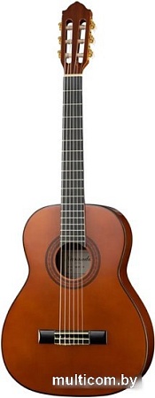 Акустическая гитара Naranda CG320-4/4