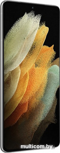 Смартфон Samsung Galaxy S21 Ultra 5G 12GB/256GB (серебряный фантом)