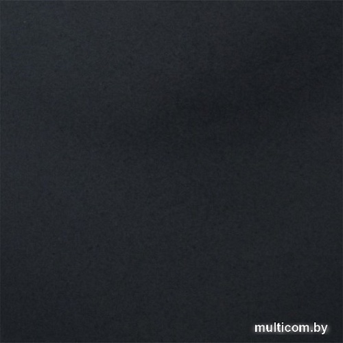 Кухонная мойка Wisent 510-26WR (с сифоном GER013)