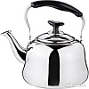 Чайник со свистком Agness 909-603