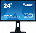 Монитор Iiyama ProLite B2483HS-B3