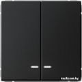 Выключатель Systeme Electric ArtGallery GAL001053