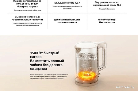 Электрический чайник Xiaomi Electric Kettle 2 Lite MJDSH06-A (евровилка)