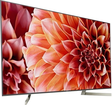 Телевизор Sony KD-65XF9005