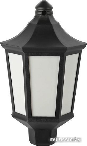 Уличный настенный светильник ЭРА НБУ 06-60-003 Ника Б0061158