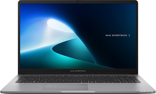 Ноутбук ASUS ExpertBook P1 P1503CVA-S70925 + 16 ГБ Win 11 Pro