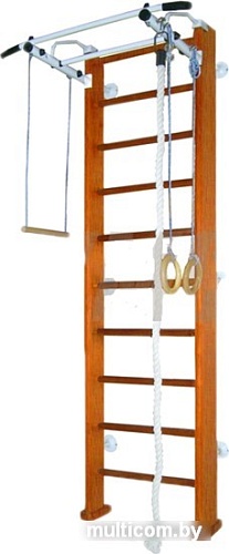 Детский спортивный комплекс Карусель 2Д.03.03