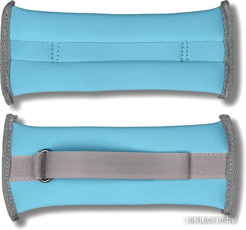 Комплект утяжелителей Indigo SM-259 (голубой)