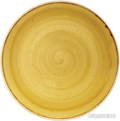 Тарелка обеденная Churchill Stonecast SMSSEV101