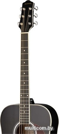 Акустическая гитара Naranda DG220BK