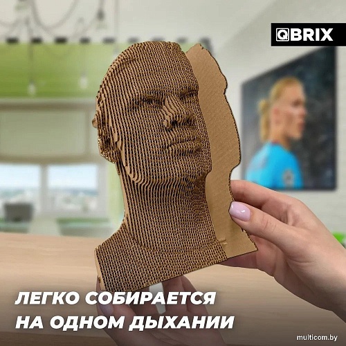Конструктор QBRIX Эрлинг Холанн 3D 20055
