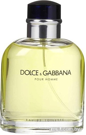 Dolce&Gabbana Pour Homme EdT (125 мл)