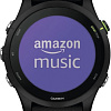 Умные часы Garmin Forerunner 255 Music 46 мм (черный)