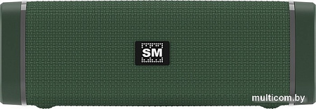 Беспроводная колонка Soundmax SM-PS5019B (зеленый)