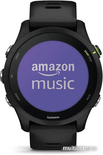 Умные часы Garmin Forerunner 255 Music 46 мм (черный)