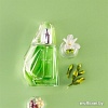 Avon Perceive Dew EdT (50 мл)