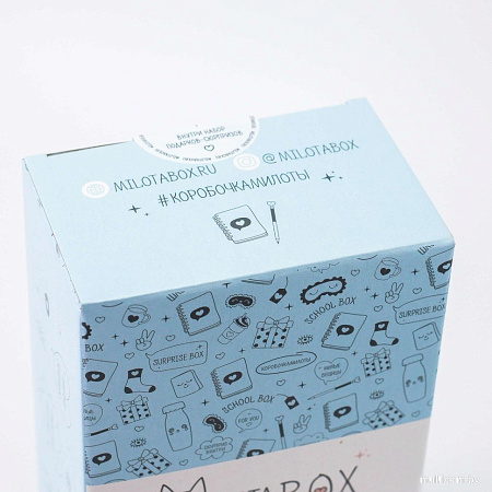 Подарочный набор Milota Box School Mini MBS019