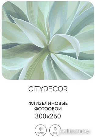 Фотообои Citydecor Sunset 43 300x260