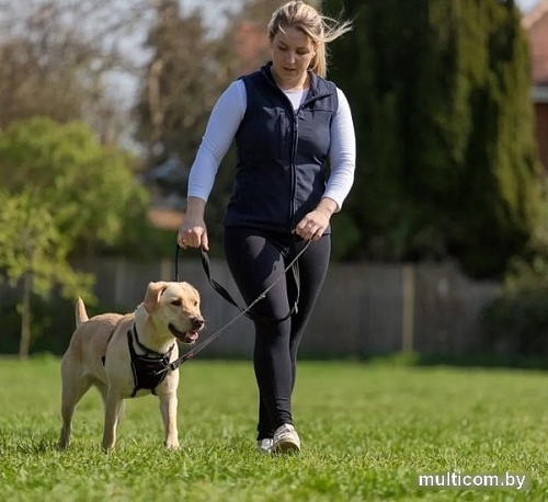 Поводок Halti Training Lead 14340A (красный)