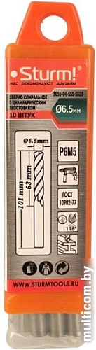 Набор оснастки Sturm 1055-04-6S5-SS10 (10 предметов)