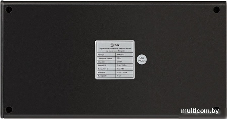 Портативная зарядная станция ЭРА ERAZS-01 32400mAh (черный)