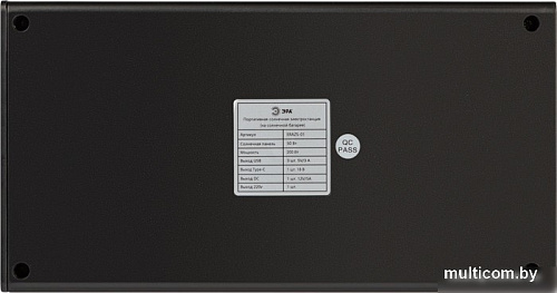 Портативная зарядная станция ЭРА ERAZS-01 32400mAh (черный)